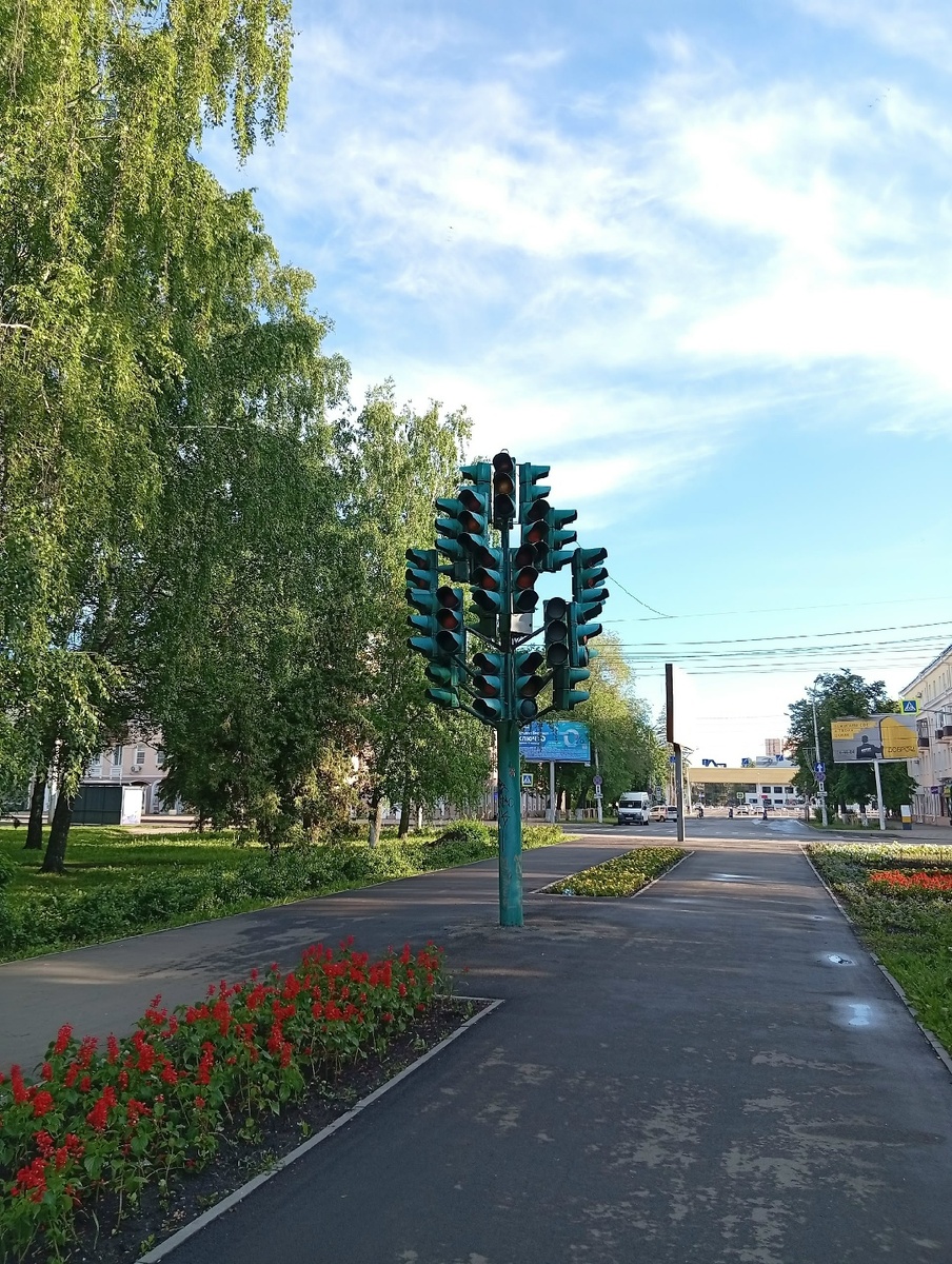 Уникальное "светофорное дерево" недалеко от вокзала в Пензе. Фото автора