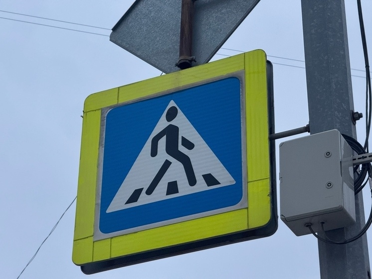     Фото: МК