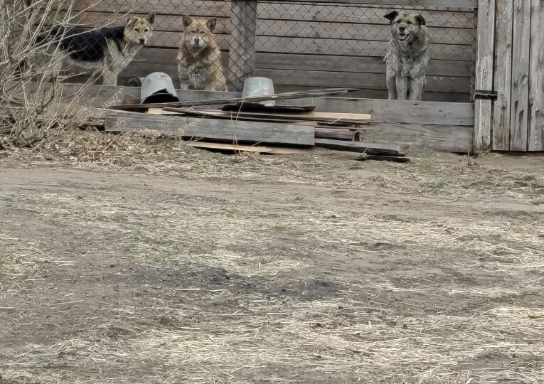 Все силы на крупу!!!