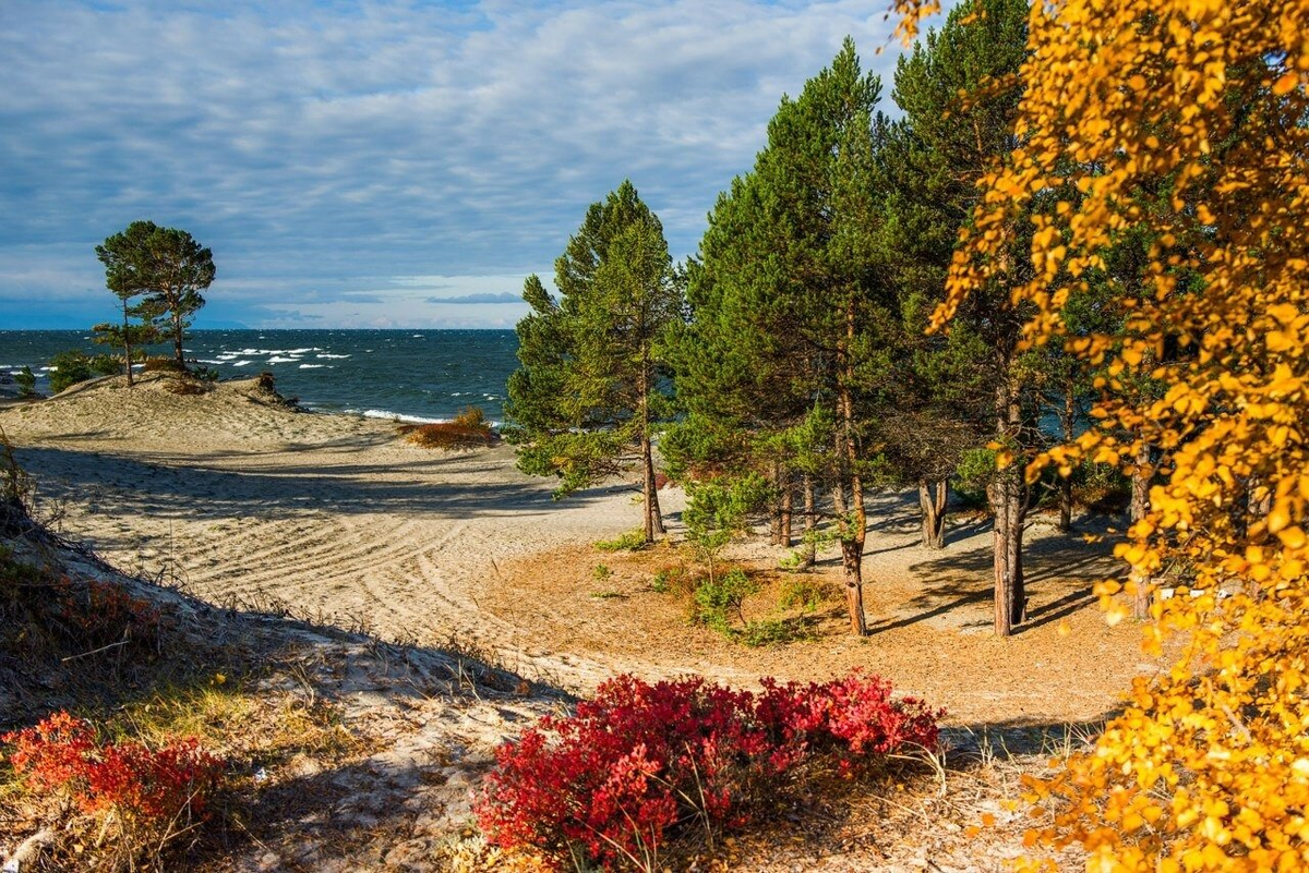 Фото: baikal-green.ru