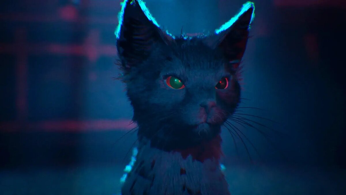    Close-up of a black cat under blue neon lighting, with a glowing collar and one green eye and one red eye in a moody scene of shadows.