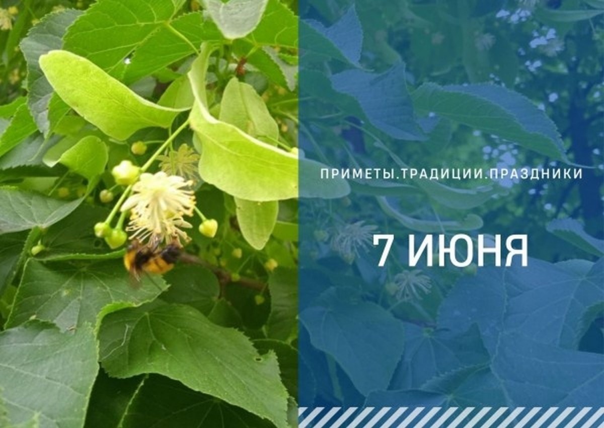 ГТРК "Ставрополье"