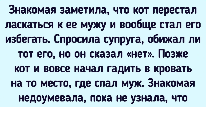 14 питомцев, рядом с которыми хозяева ощущают себя как за каменной стеной