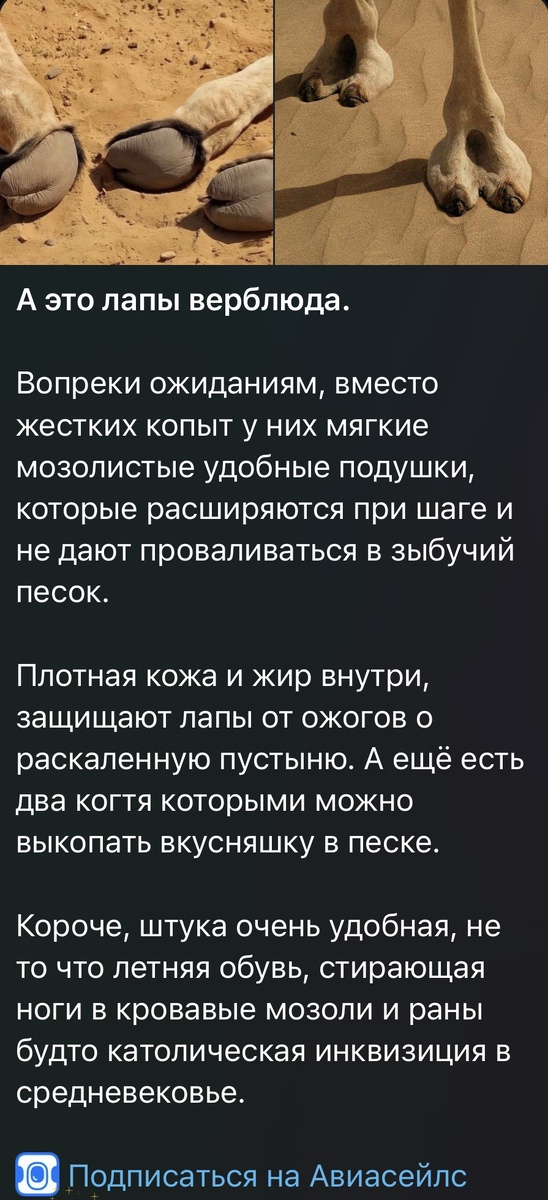 -2-2