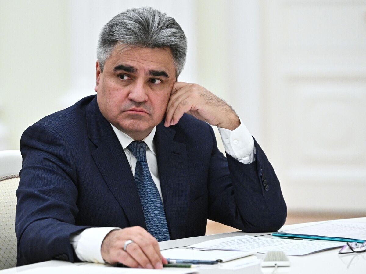    Руководитель фракции "Новые люди" Алексей Нечаев на встрече с президентом РФ Владимиром Путиным.© РИА Новости . Сергей Бобылев