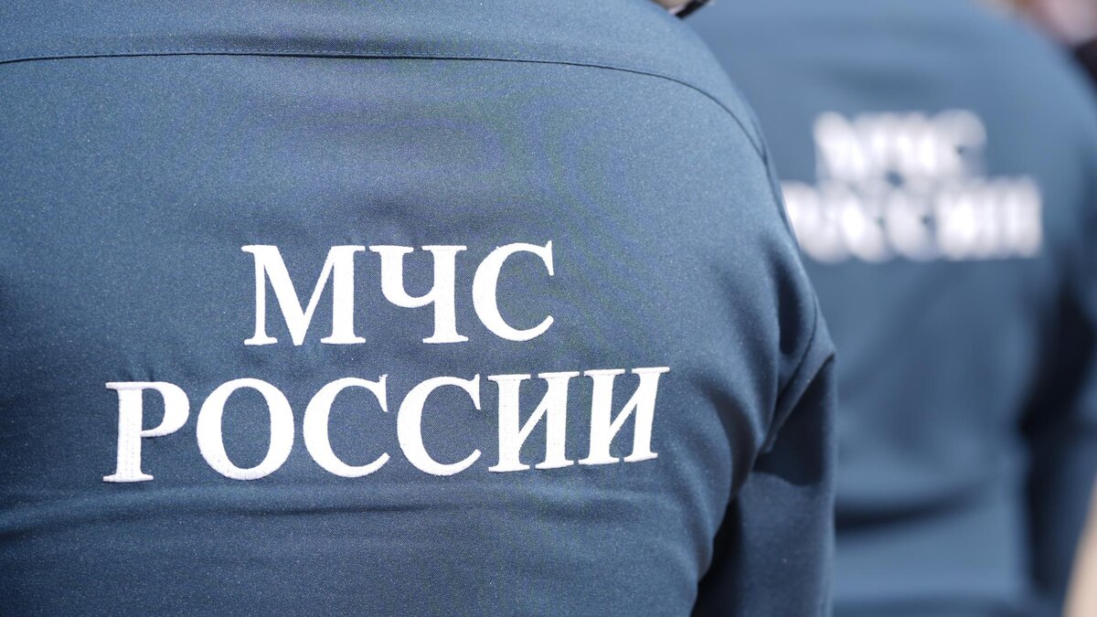    Фото: ИЗВЕСТИЯ/Эдуард Корниенко