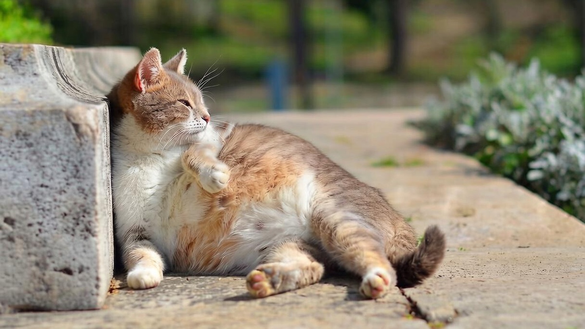 -2