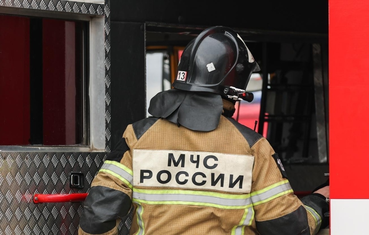 Эрик Романенко/ТАСС, архив