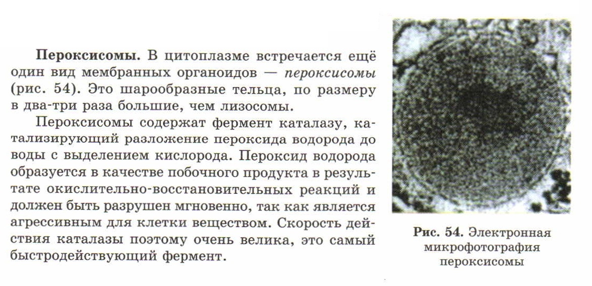 Фрагмент страницы учебника Теремова и Петросовой