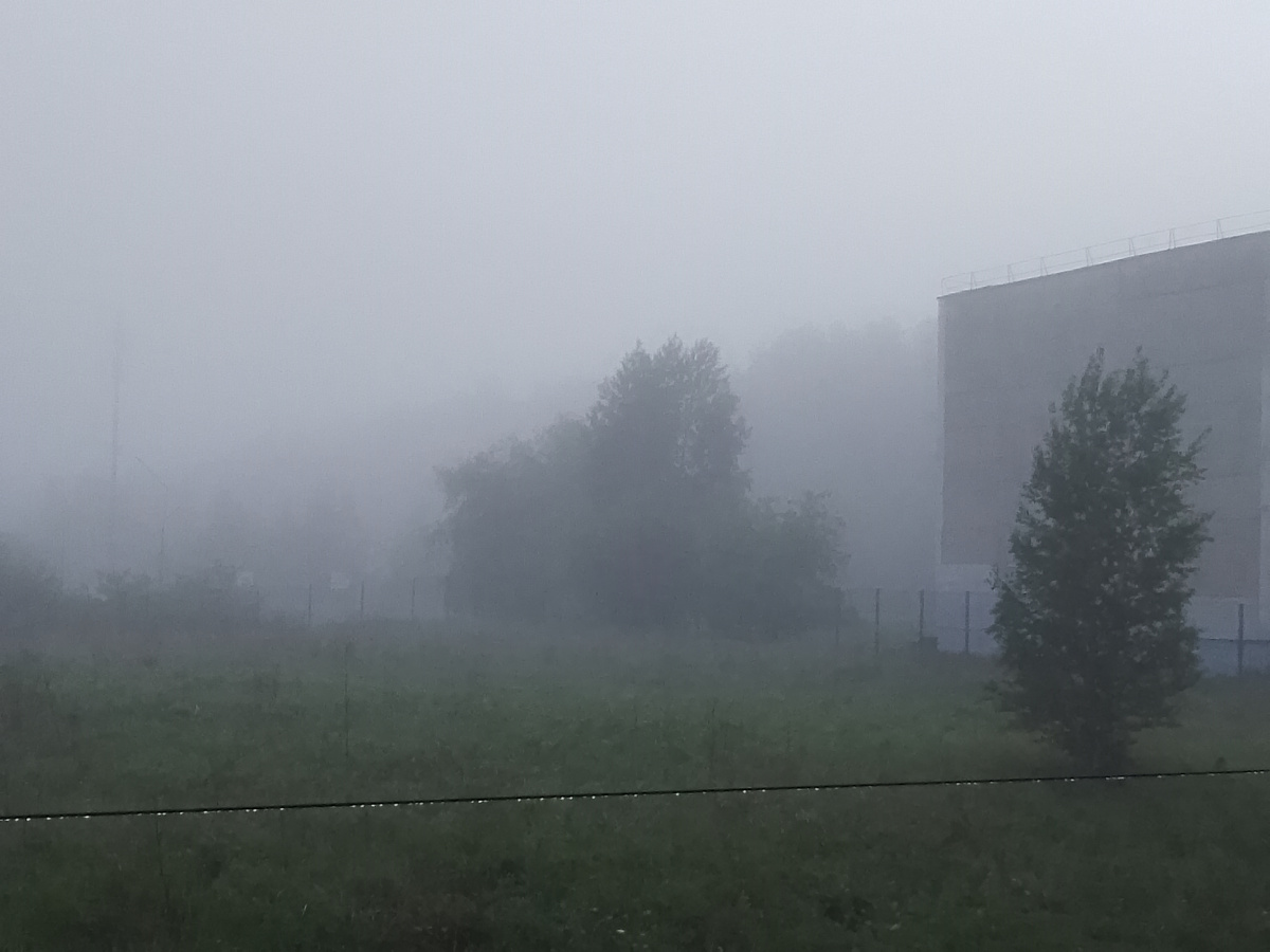 5 июня