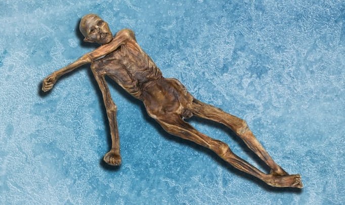 Пять тысяч лет спустя. Микроорганизмы продолжают жить внутри древней мумии