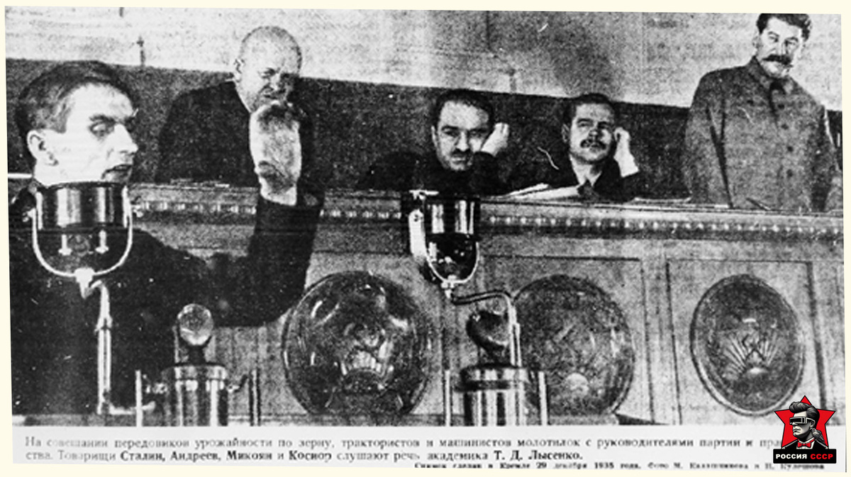 Основа фото из источника wikimedia.org