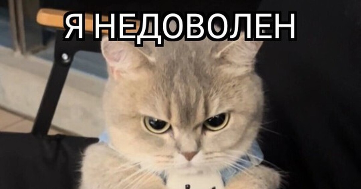 источник Яндекс-картинки