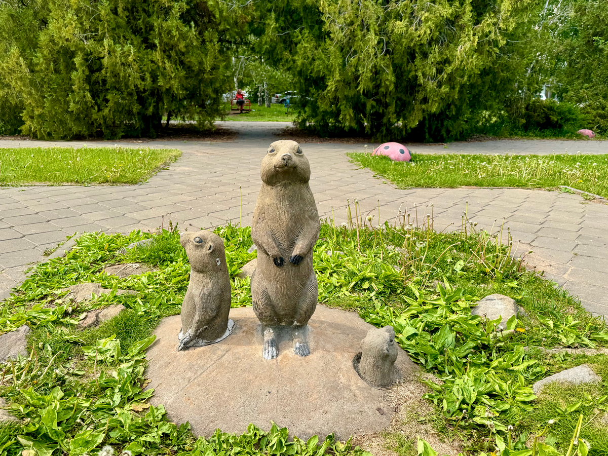 Первые суслики города Волжский 