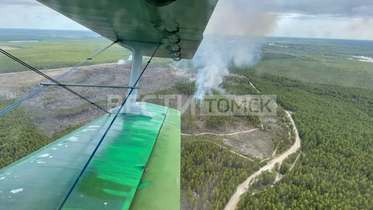    Фото предоставлено читателями "Вести-Томск"