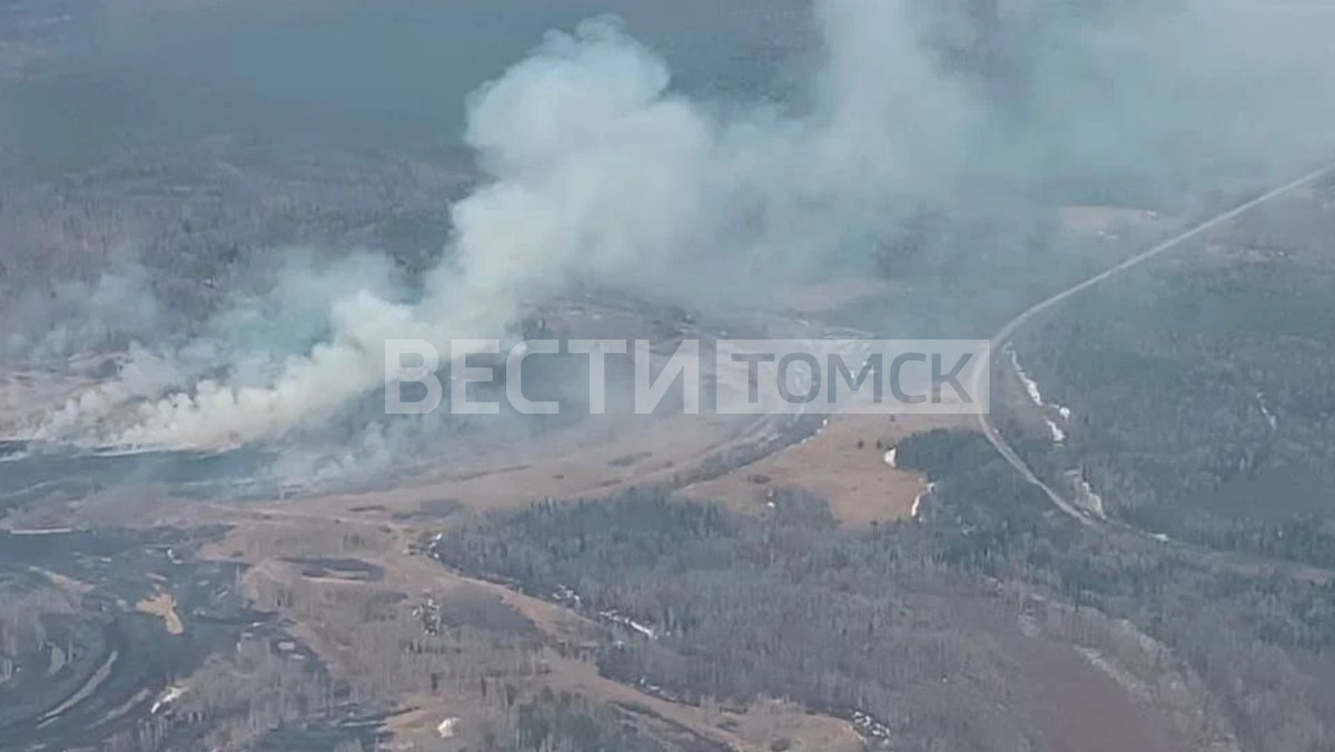    Фото предоставлено читателями "Вести-Томск"