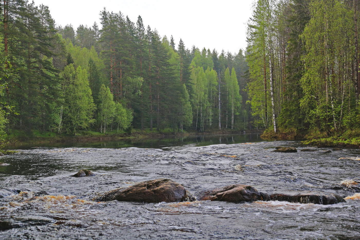 photocentra.ru