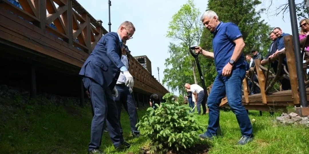 Глава Карелии посадил ели в честь семилетия «Рускеальского экспресса»