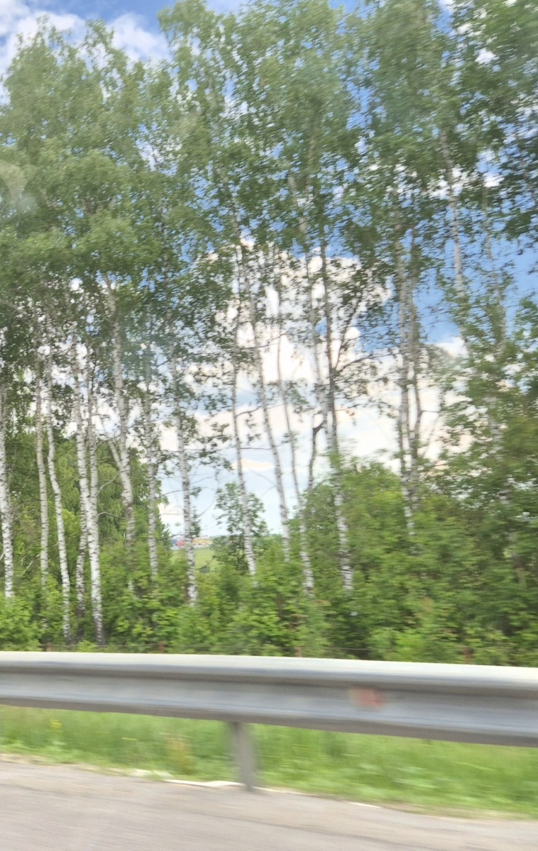По дороге в Москву.