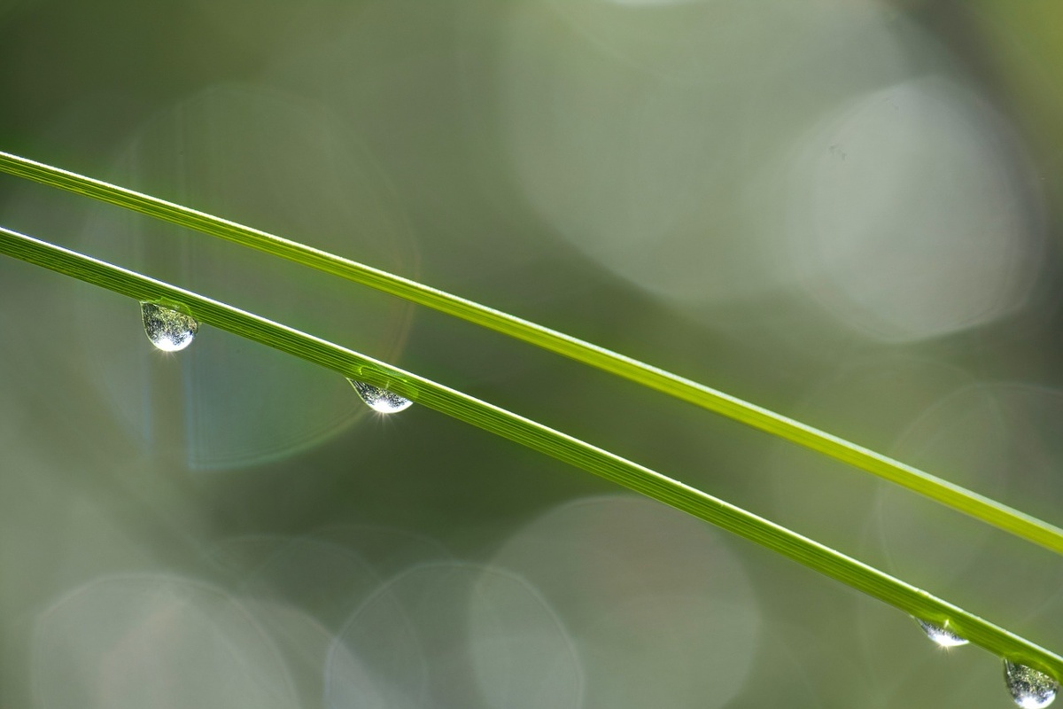 pixabay.com