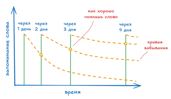 Интервальные тренировки слов