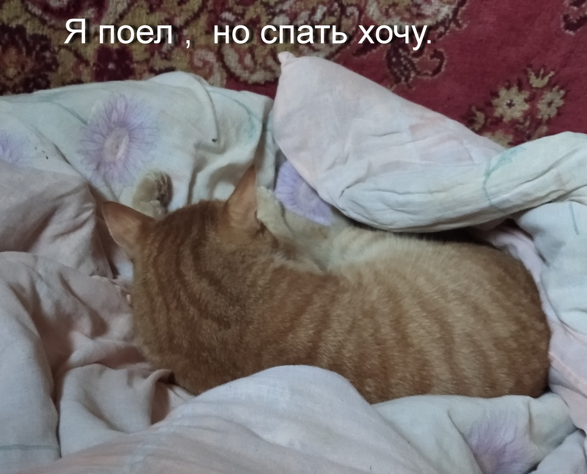 личное