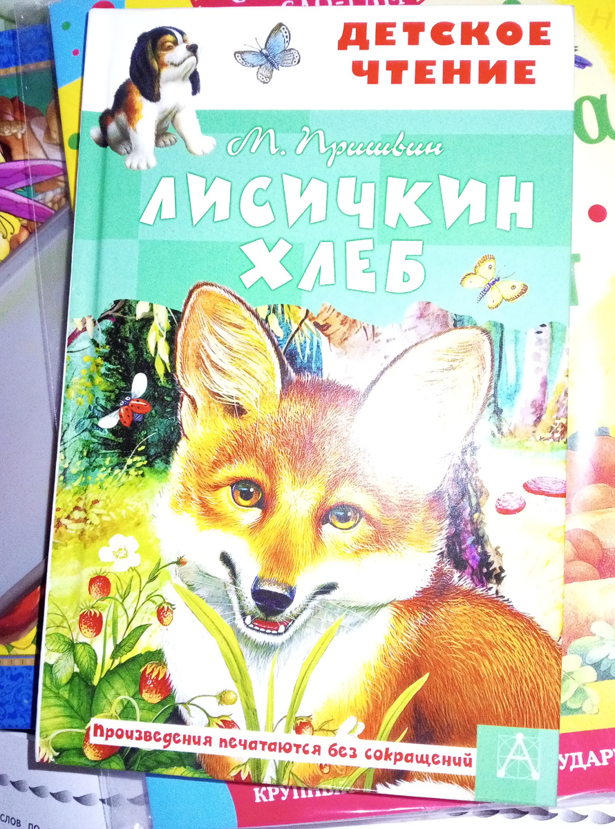 Заказала на Вайлдберриз, очень яркие странички