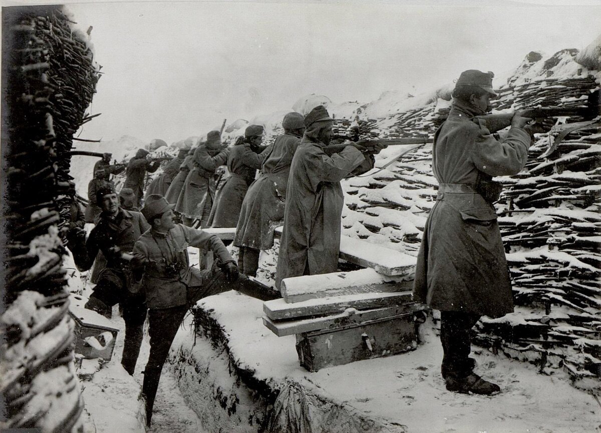 Зима 1915 года. Карпаты. Здесь люди воевали. И здесь появились волки.