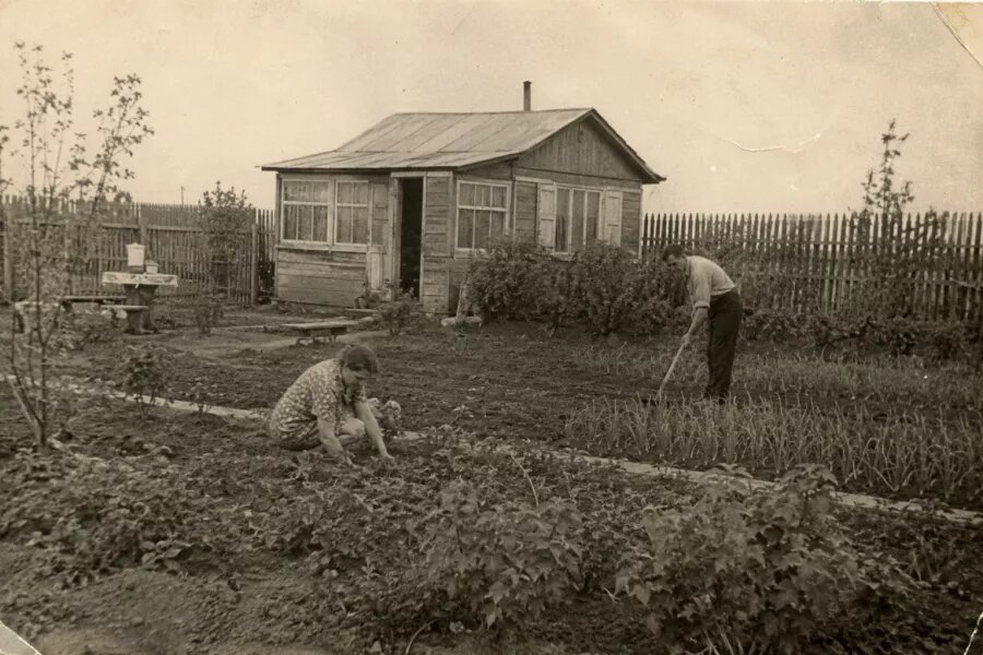 Советское садоводство. ChatGPT   📷