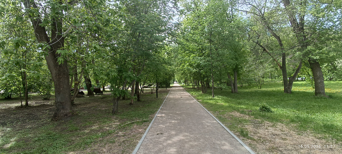 Где-то на просторах моего города. Фотография автора, май 2026 года. 