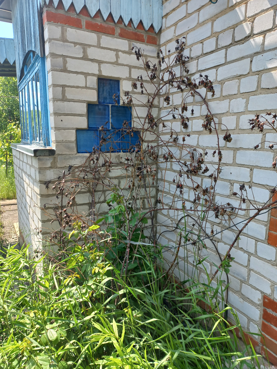 Фото личное