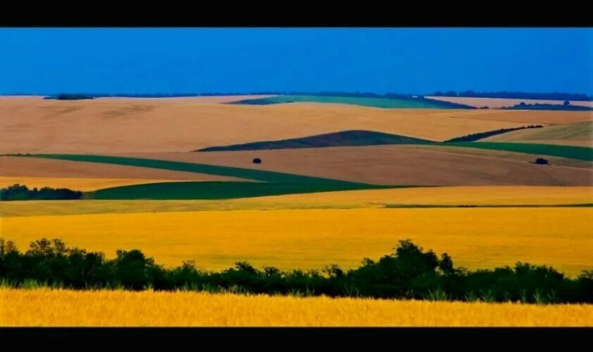 Златна Добруджа