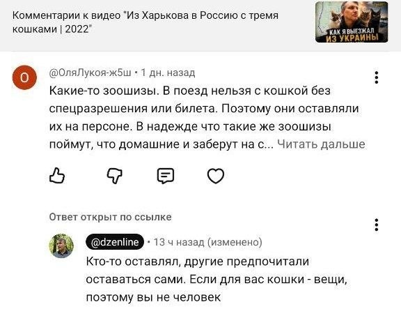 Вот в моем видео "Как я выезжал из Харькова с тремя кошками" я рассказывал как некоторые, выезжая в феврале 2022 из Харькова, бросали кошек