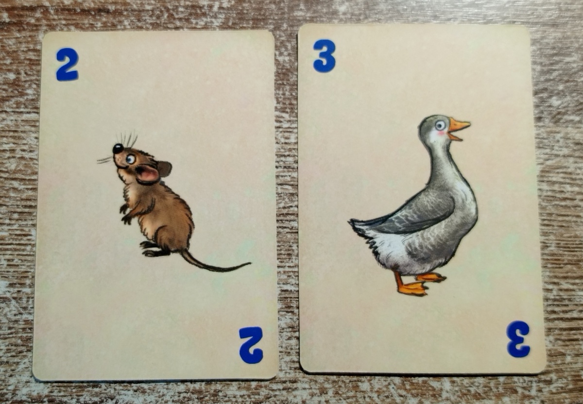 6 ход