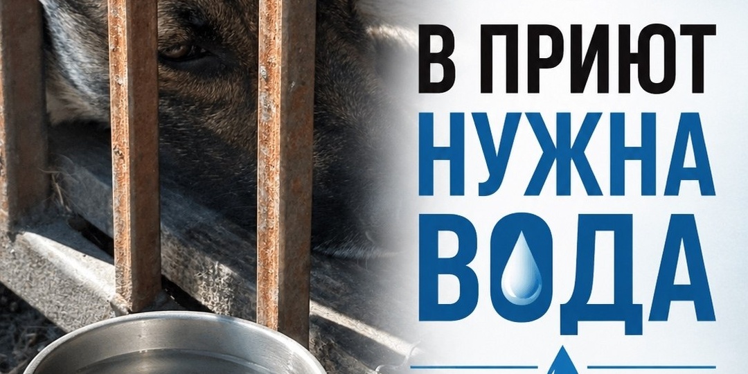 У вас есть машина