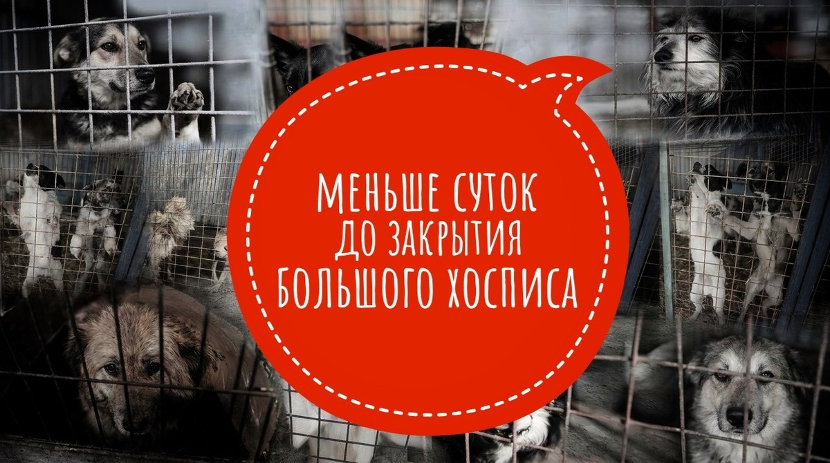 Сегодня СРОЧНЫЙ СБОР, на  кону 500 жизней! Не хватает 46 800 рублей.