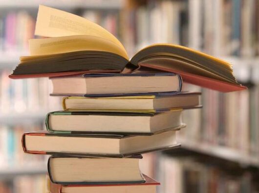 Книги иноагентов изымаются из библиотек Ростовской области