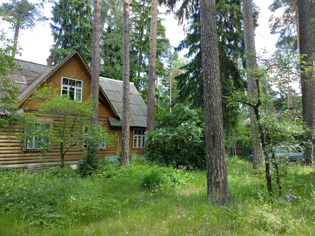 Попробуйте найти на этом фото очертания альпийской горки. Больше похоже на дикую лесную полянку.