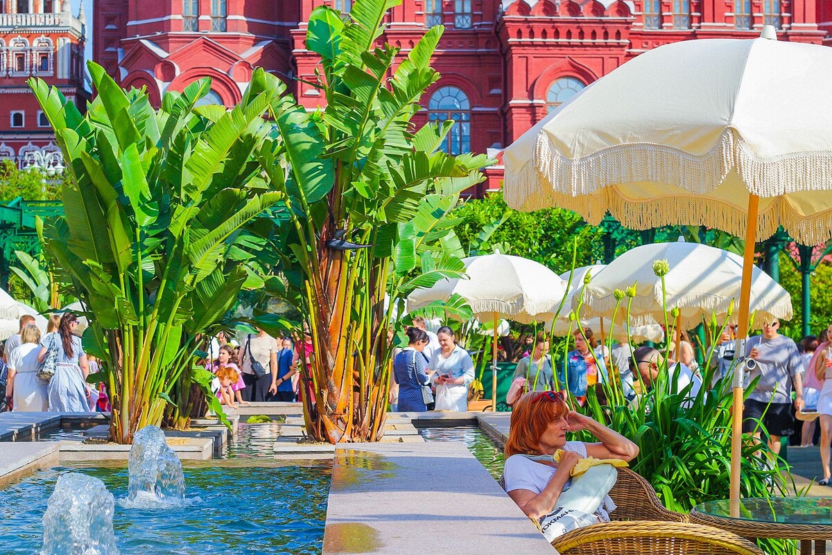 Я.Картинки