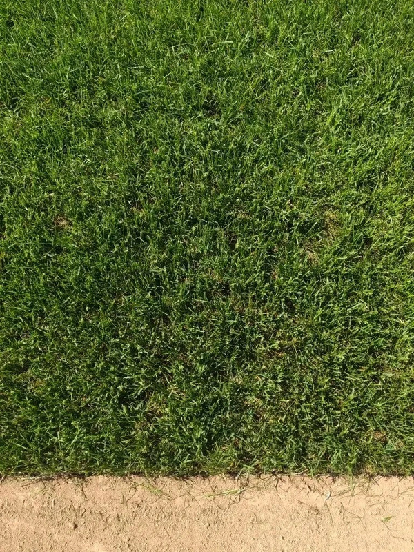 -2-3