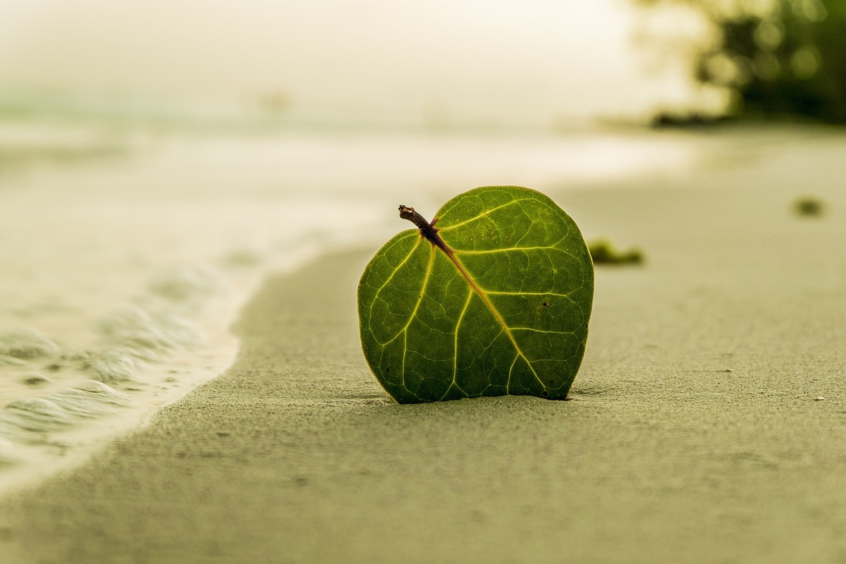 pixabay.com