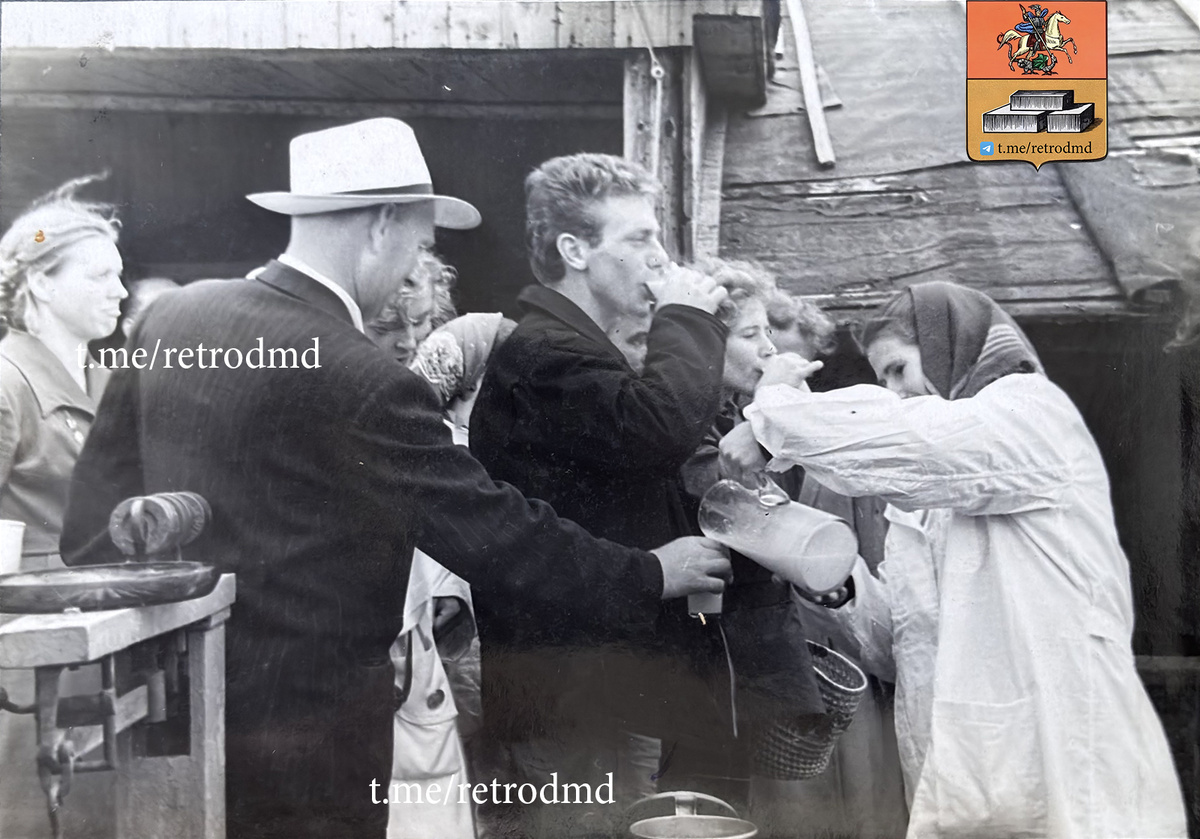 1957 год - гостей угощают парным молоком на летней ферме КРС