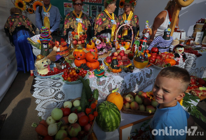 фото: Валентин Илюшин/ Онлайн47