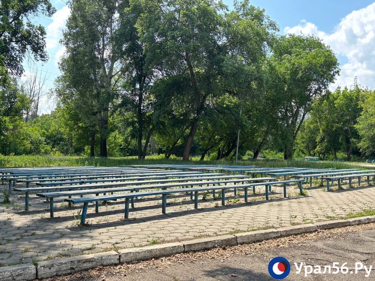    Зауральная роща в Оренбурге зарастает сорняками и продолжает приходить в запустение