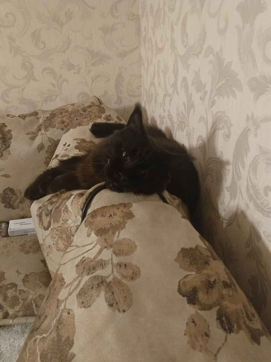 Харитоша смотрит на меня прищурившись