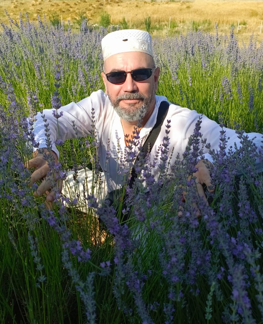 Лаванда