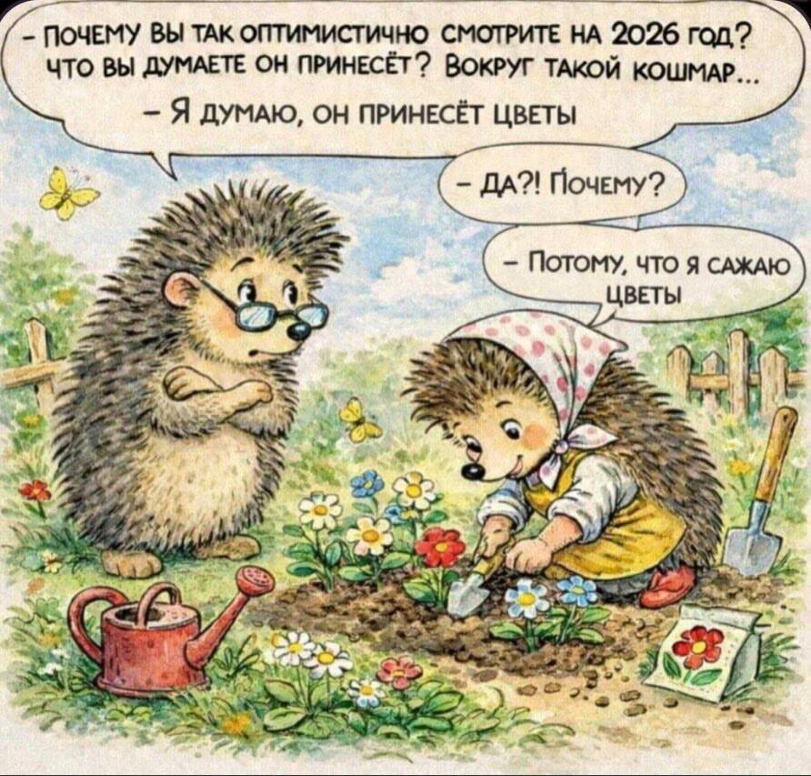 На этой картинке вся моя позиция относительно всех событий в мире