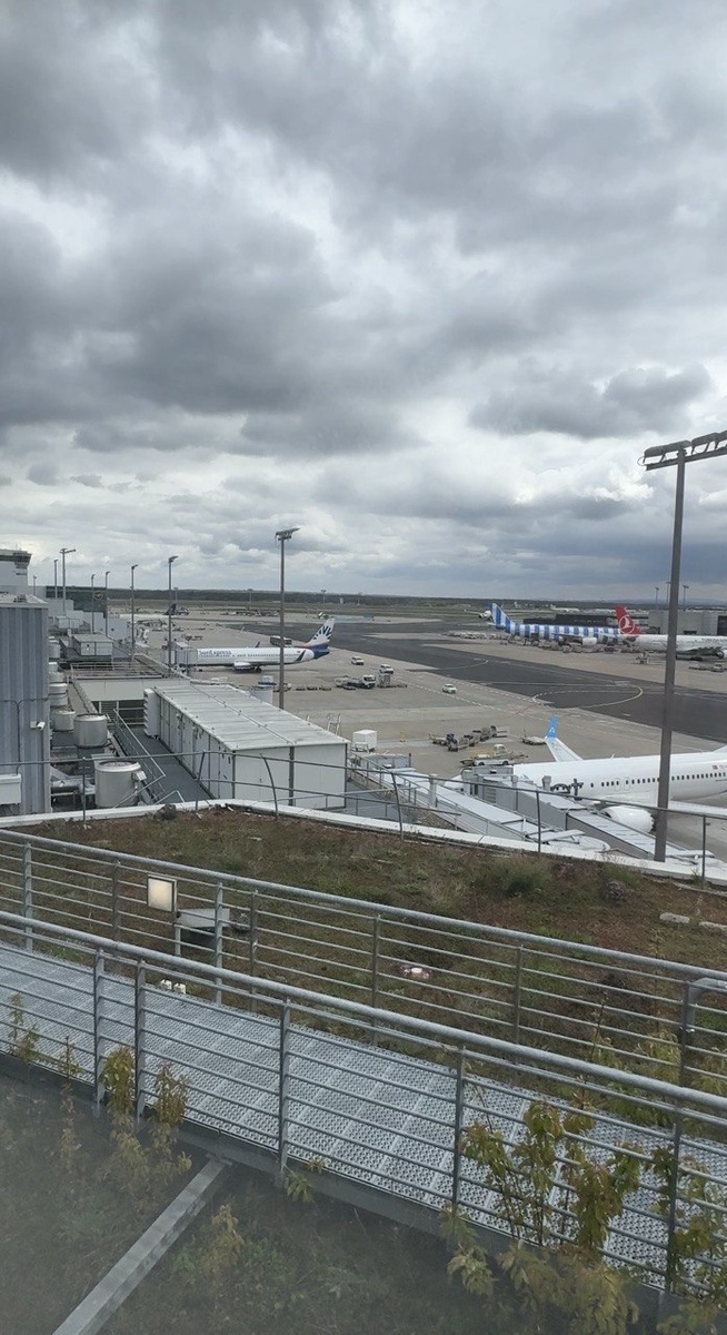 29.03.2026. Международный аэропорт Франкфурт / Flughafen Frankfurt. Автор: Елена Мельникова (plennica_neba)