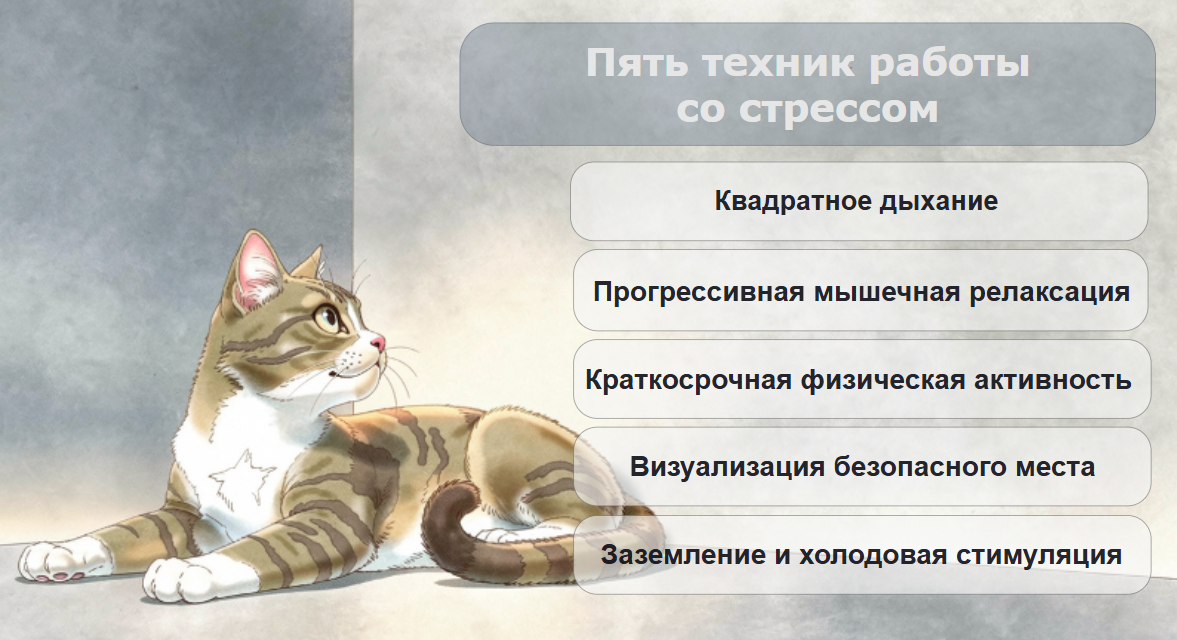 Пять техник работы со стрессом. Авторское изображение