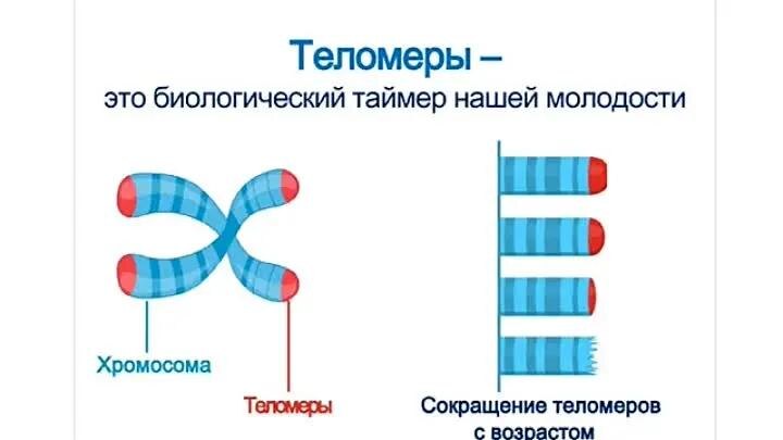 Иллюстрация с сайта по доказательной медицине.